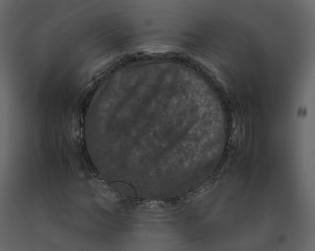 X0000092250966200710051255