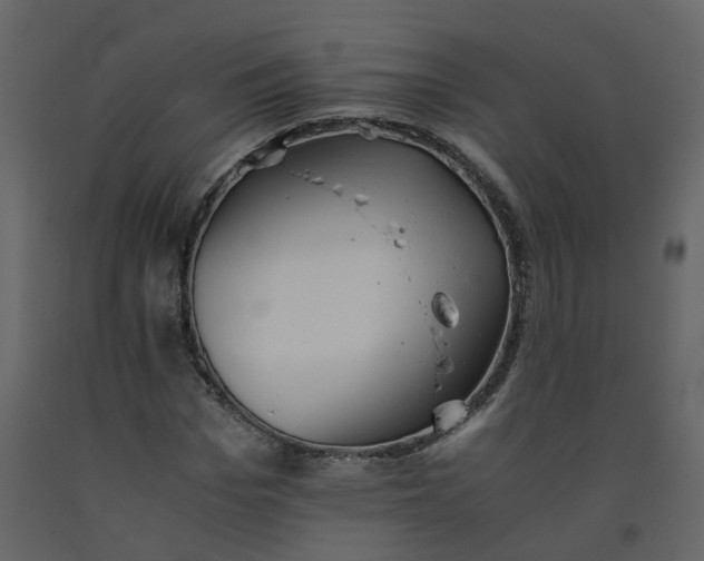 X0000092250969200710051255