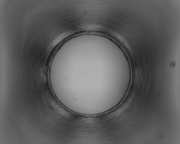 X0000092250970200710051255