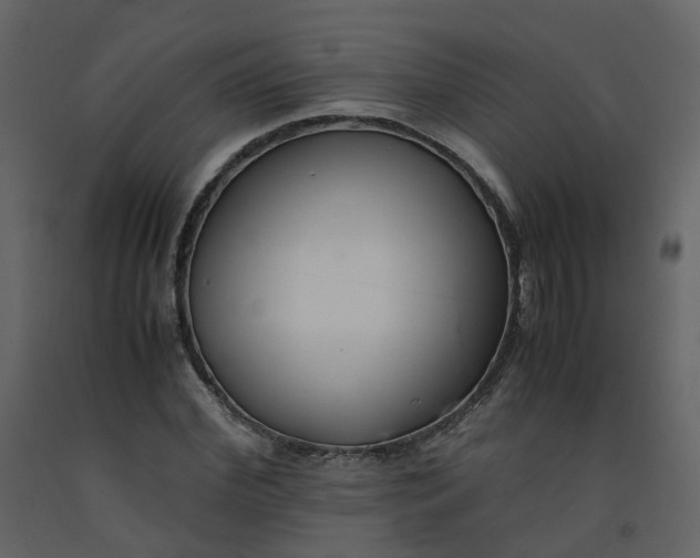 X0000092250972200710051255