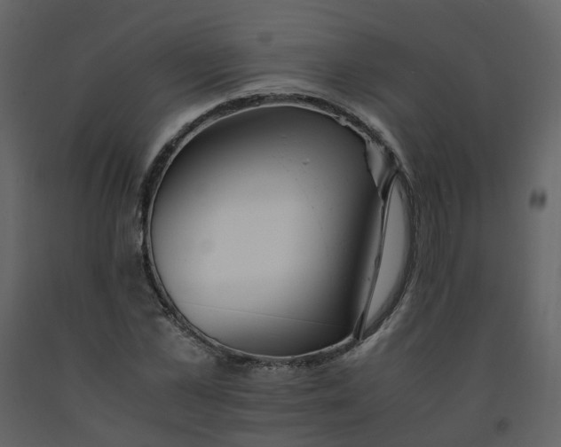 X0000092250973200710051255