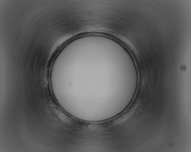 X0000092250974200710051255