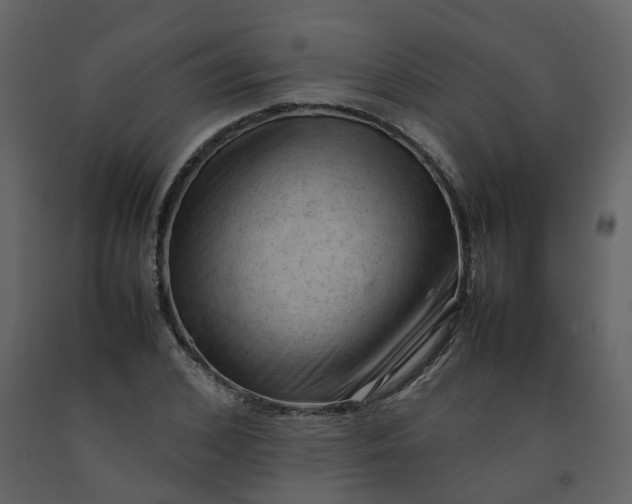 X0000092250976200710051255