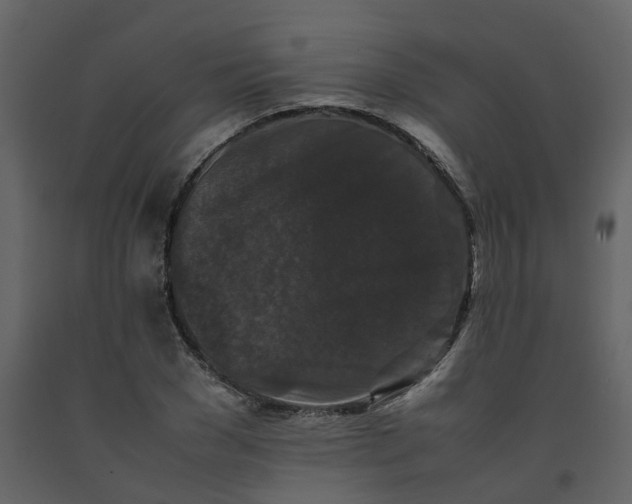 X0000092250977200710051255