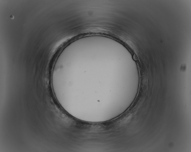 X0000092250979200710051255