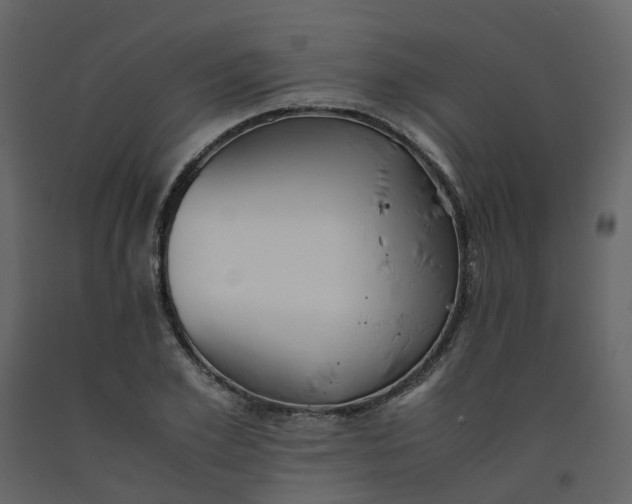 X0000092250981200710051255