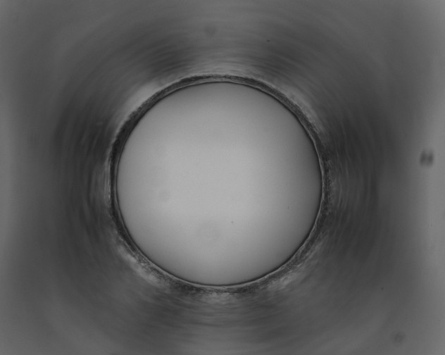 X0000092250982200710051255