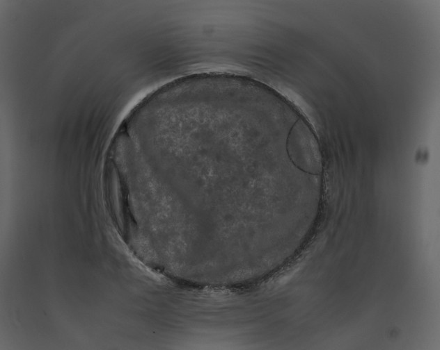 X0000092250983200710051255