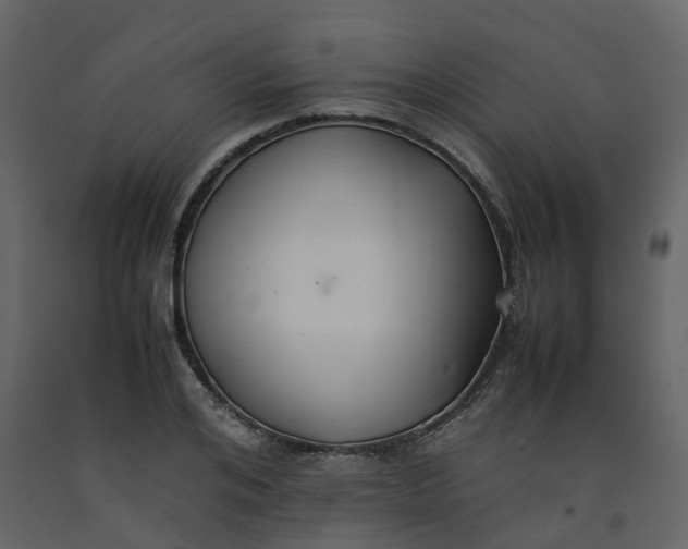 X0000092250984200710051255