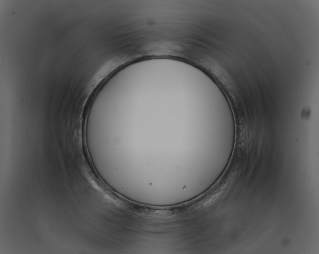 X0000092250986200710051255