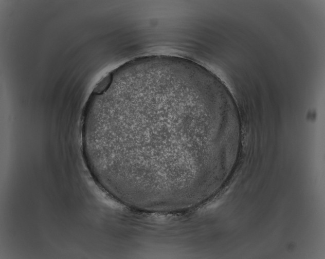 X0000092250987200710051255