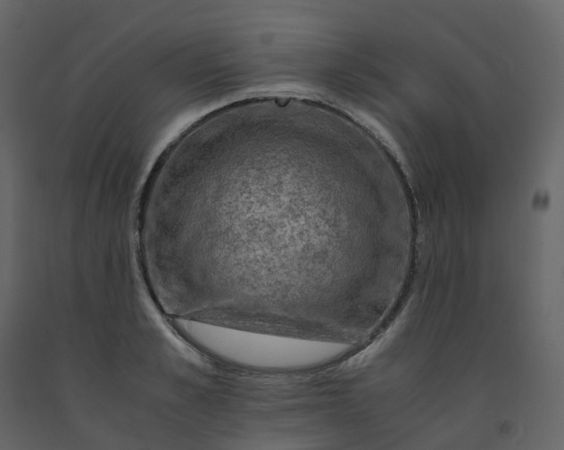 X0000092250989200710051255