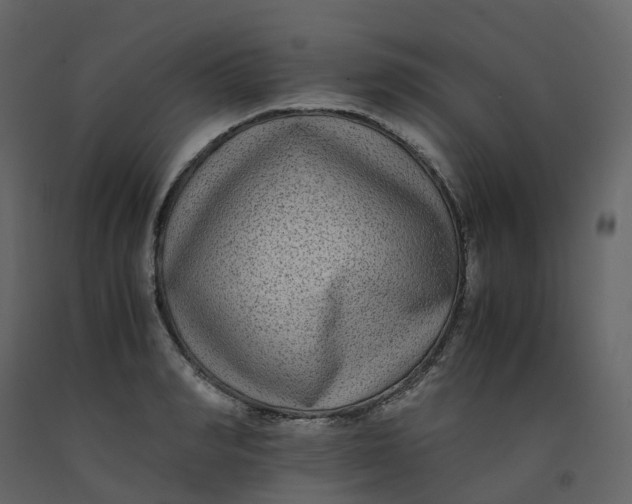 X0000092250990200710051255