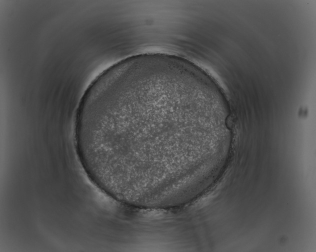 X0000092250991200710051255