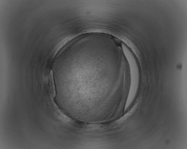 X0000092250993200710051255