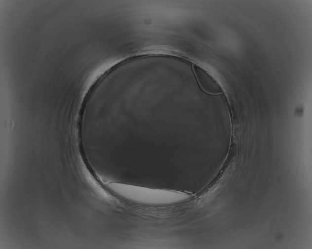 X0000092250995200710051255