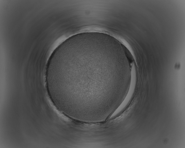 X0000092250997200710051255