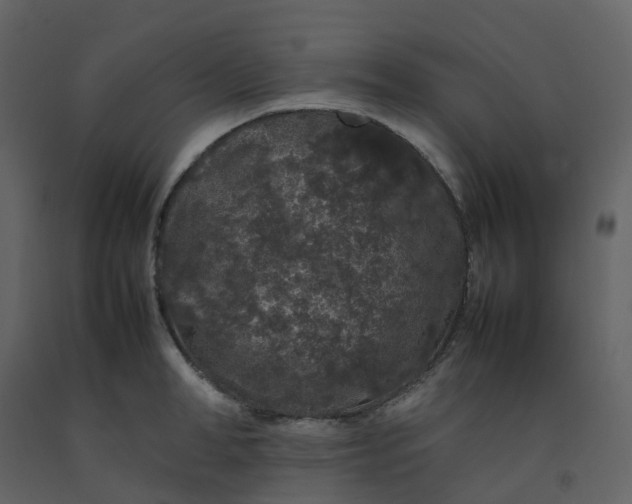 X0000092250998200710051255