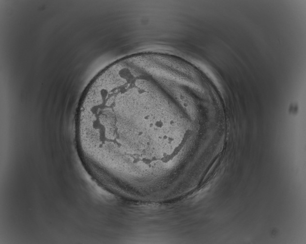 X0000092250999200710051255