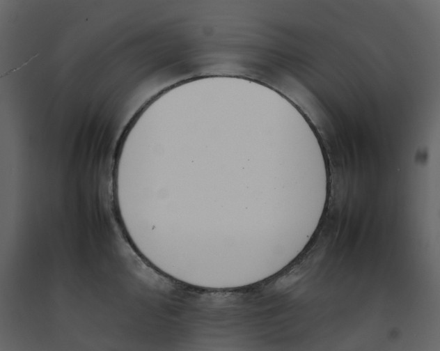 X0000092251000200710051255