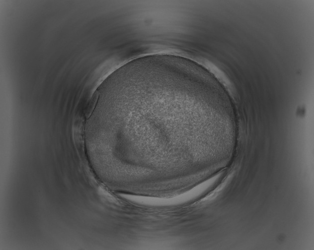 X0000092251001200710051255