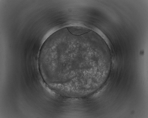 X0000092251002200710051255