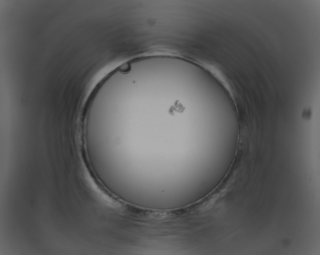 X0000092251003200710051255