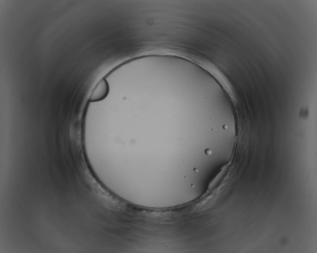 X0000092251004200710051255