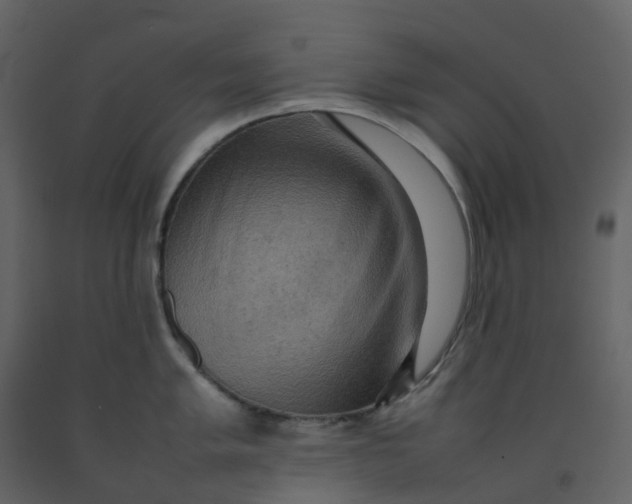 X0000092251005200710051255