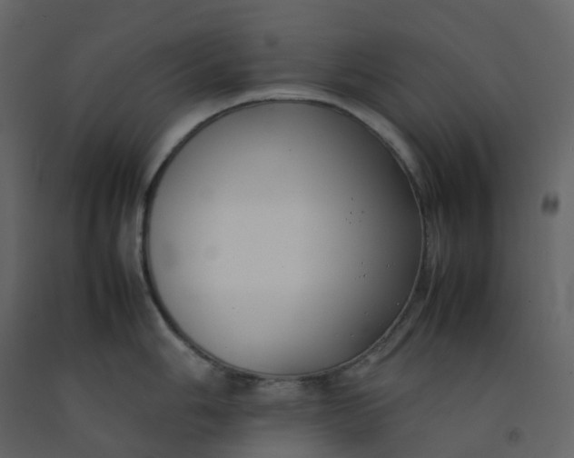 X0000092251006200710051255