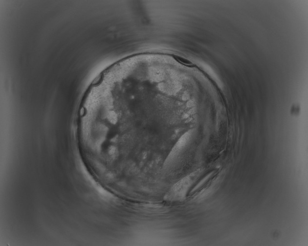 X0000092251007200710051255