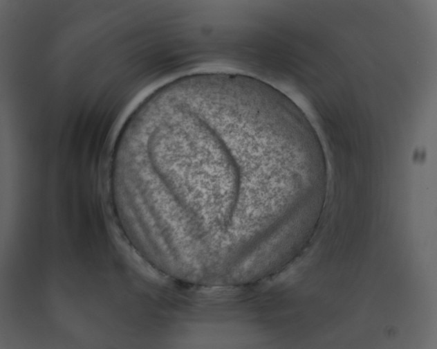 X0000092251008200710051255