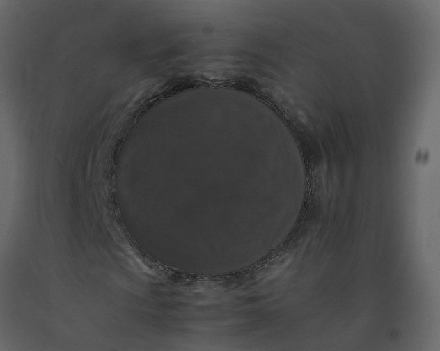 X0000092251009200710051254