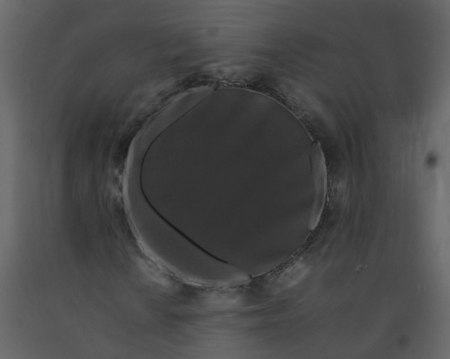 X0000092251010200710051254