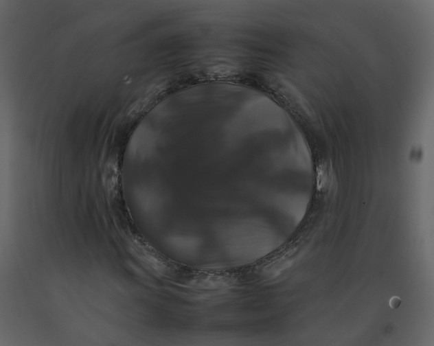 X0000092251011200710051254