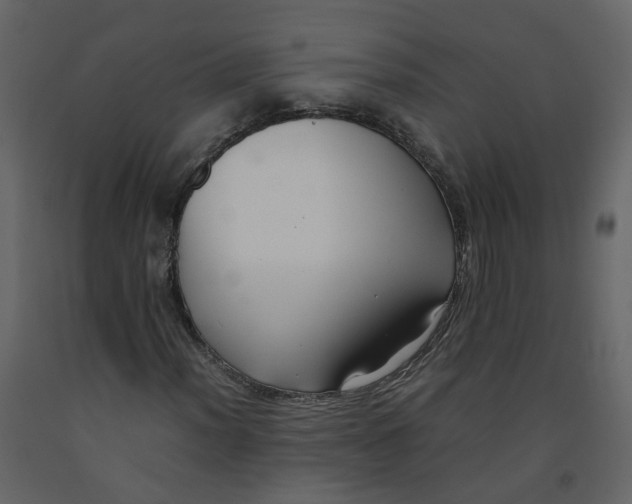 X0000092251012200710051254