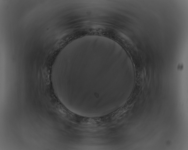 X0000092251013200710051254