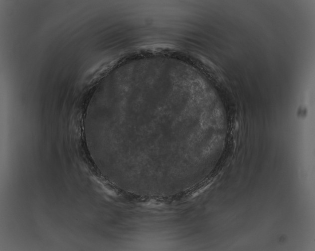 X0000092251014200710051254