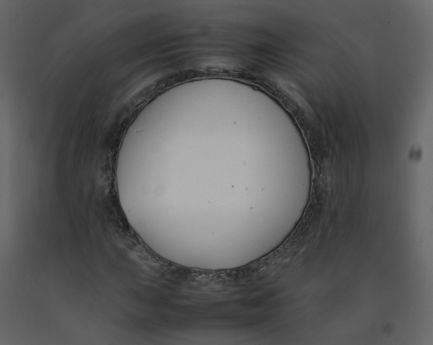 X0000092251015200710051254