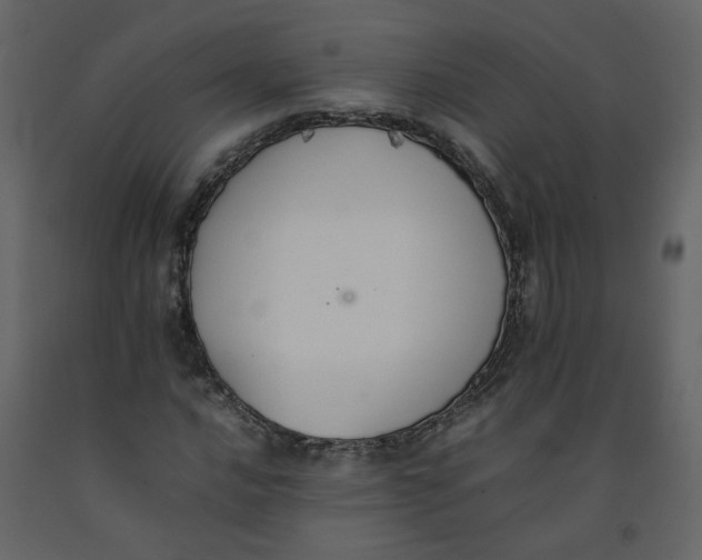 X0000092251016200710051254