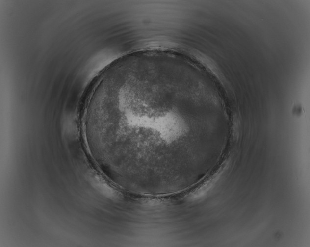 X0000092251018200710051254