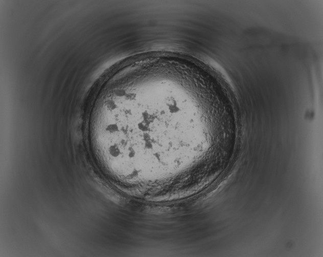 X0000092251019200710051254