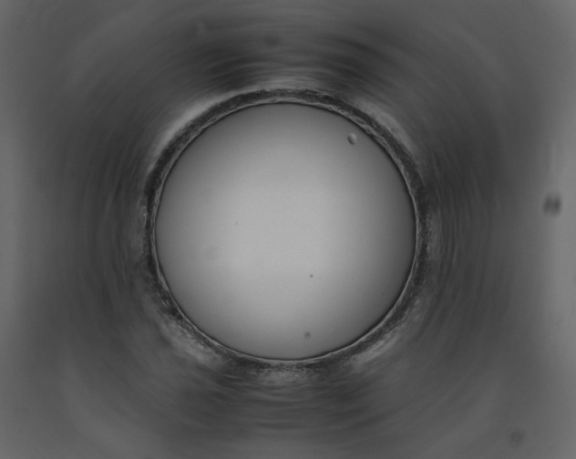 X0000092251021200710051254