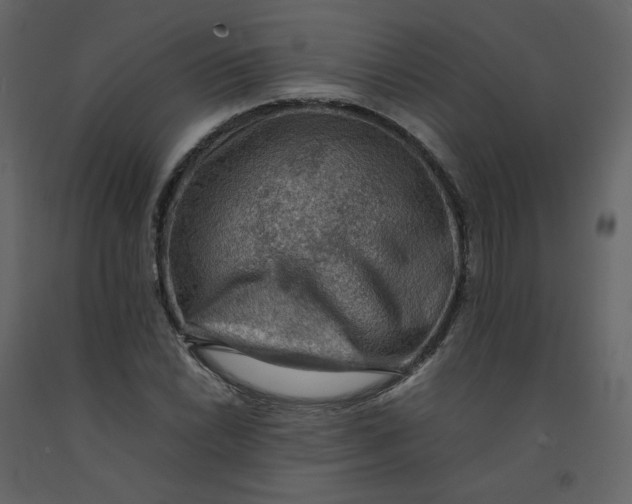 X0000092251022200710051254