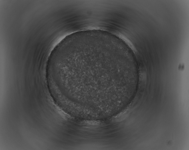 X0000092251023200710051254