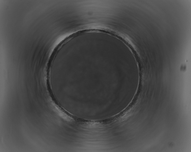 X0000092251024200710051254