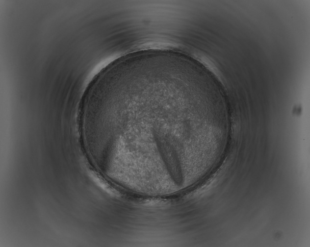 X0000092251026200710051254