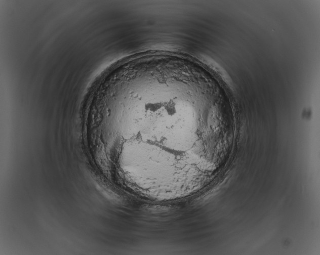 X0000092251027200710051254