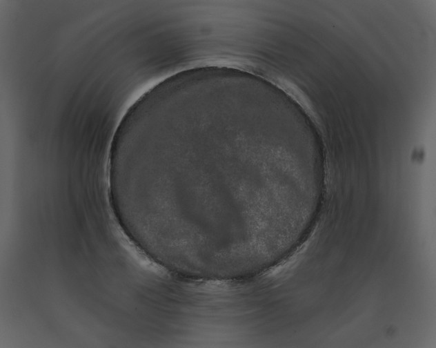 X0000092251028200710051254