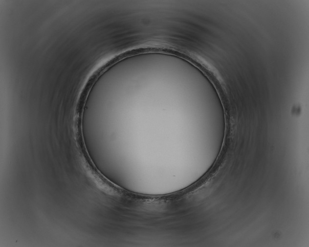 X0000092251029200710051254